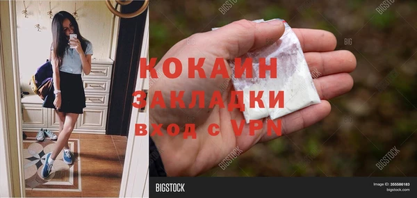 PSILOCYBIN Баксан