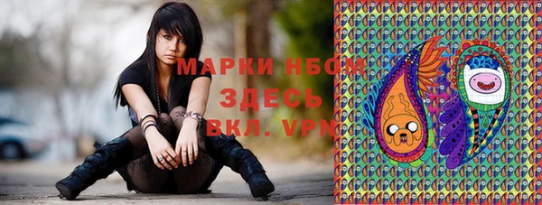 PSILOCYBIN Баксан