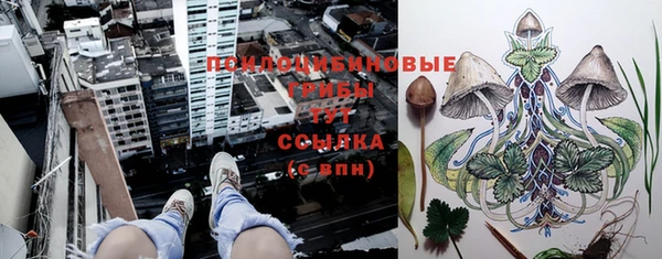 дурь Армянск