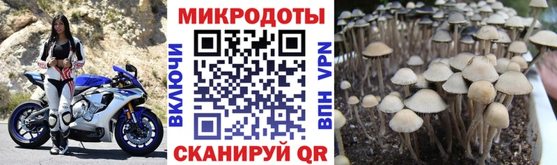 Псилоцибиновые грибы Magic Shrooms  купить наркотик  Крымск 